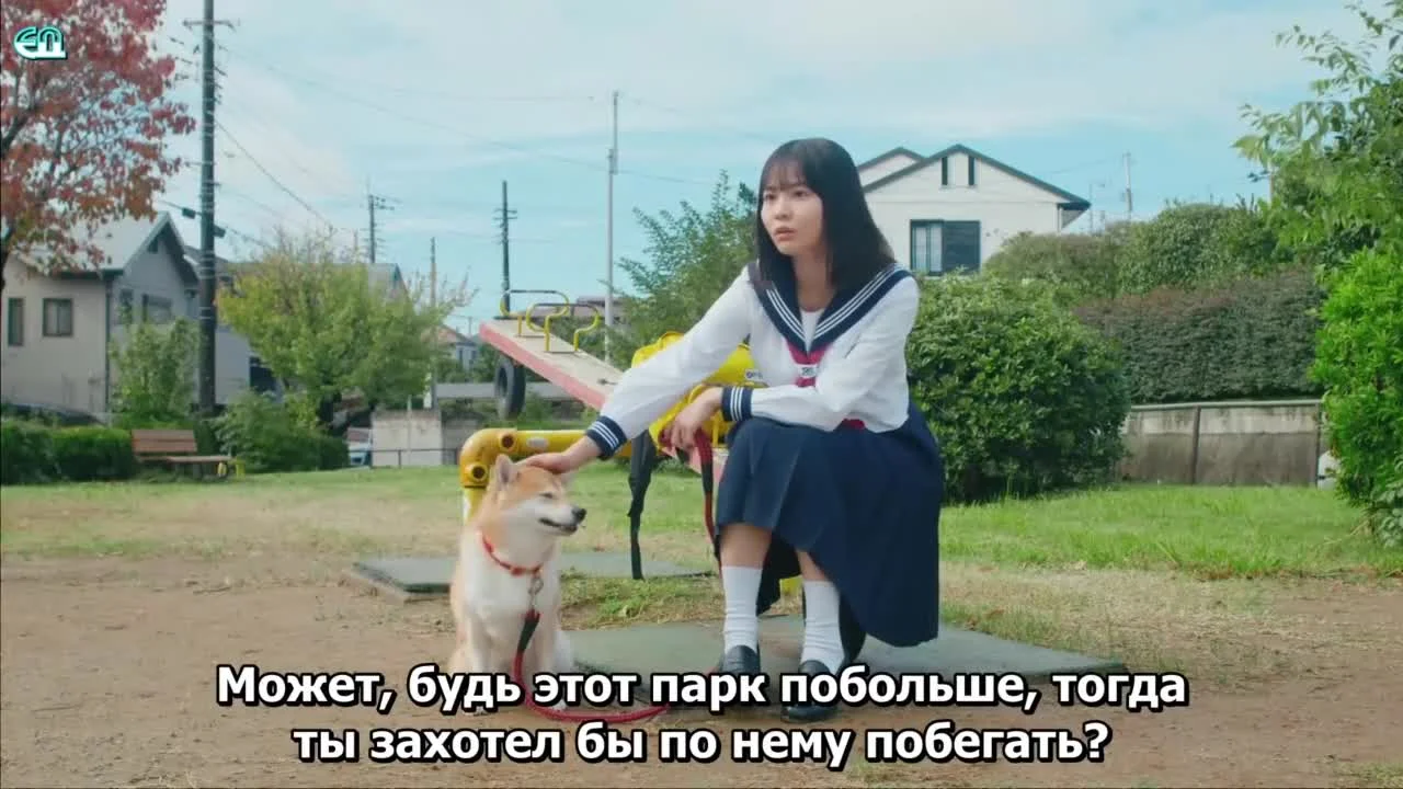 Сегодняшняя прогулка с Понтой