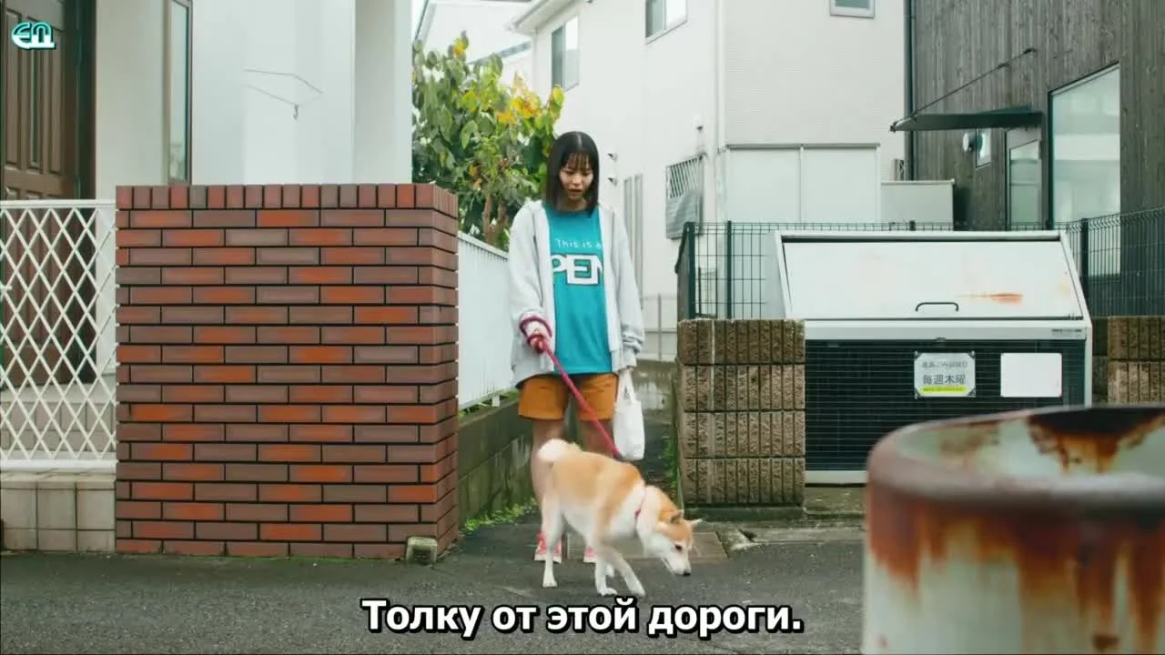 Сегодняшняя прогулка с Понтой