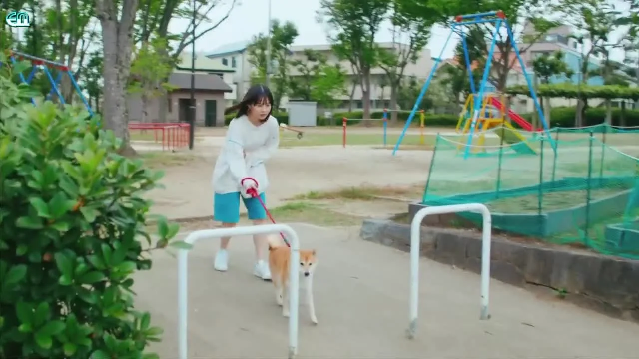 Сегодняшняя прогулка с Понтой