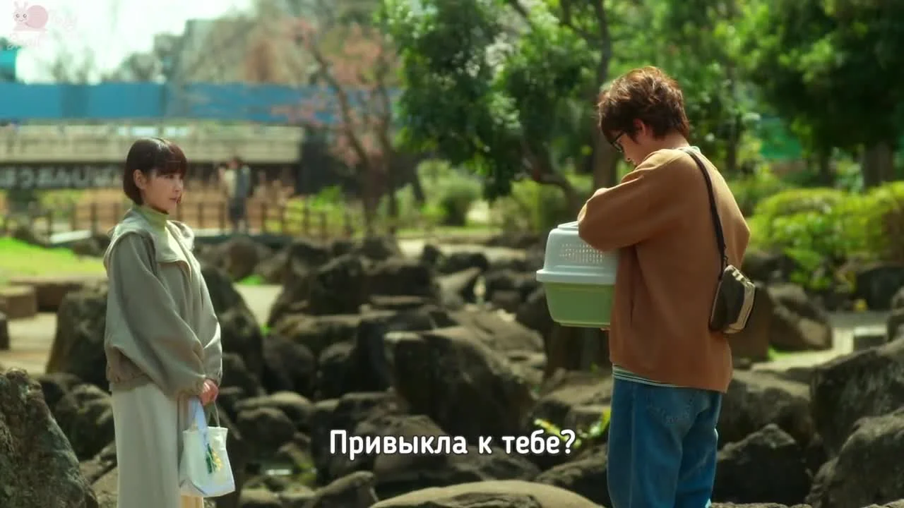 Это правда, что вы женитесь?