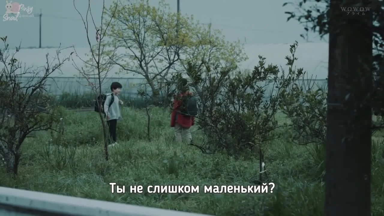 Кто-то в этом городе