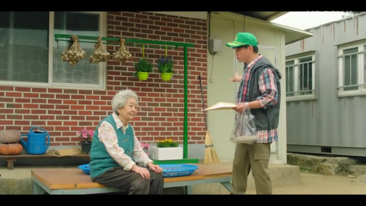 Свиные котлетки