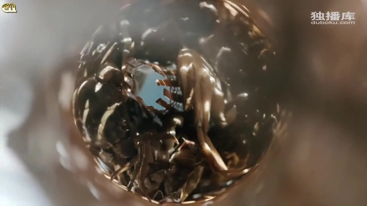 Милый маленький повар