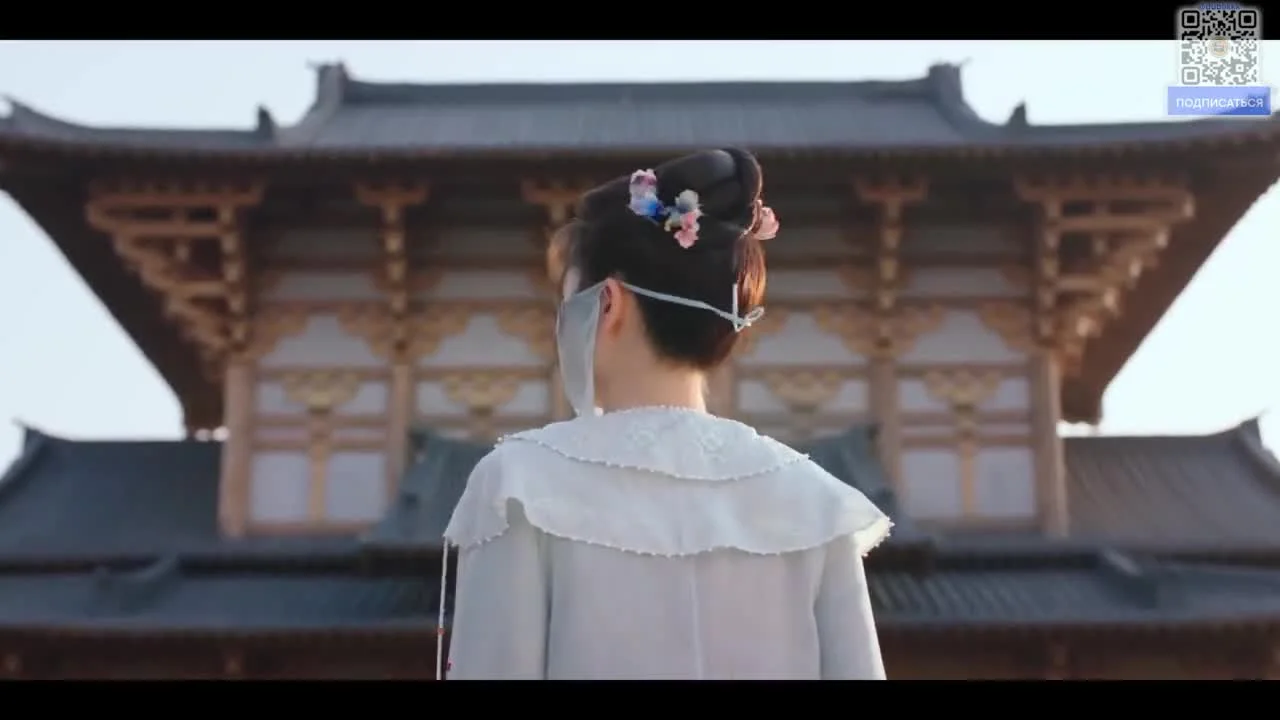 Павлин в стране чудес