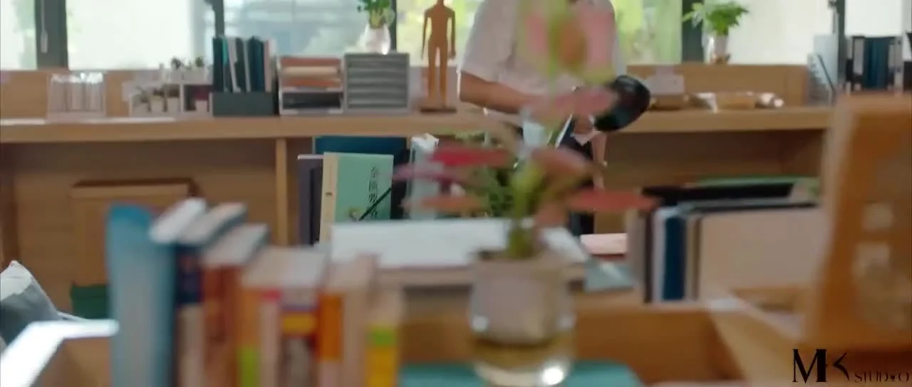 Другой господин Сяо