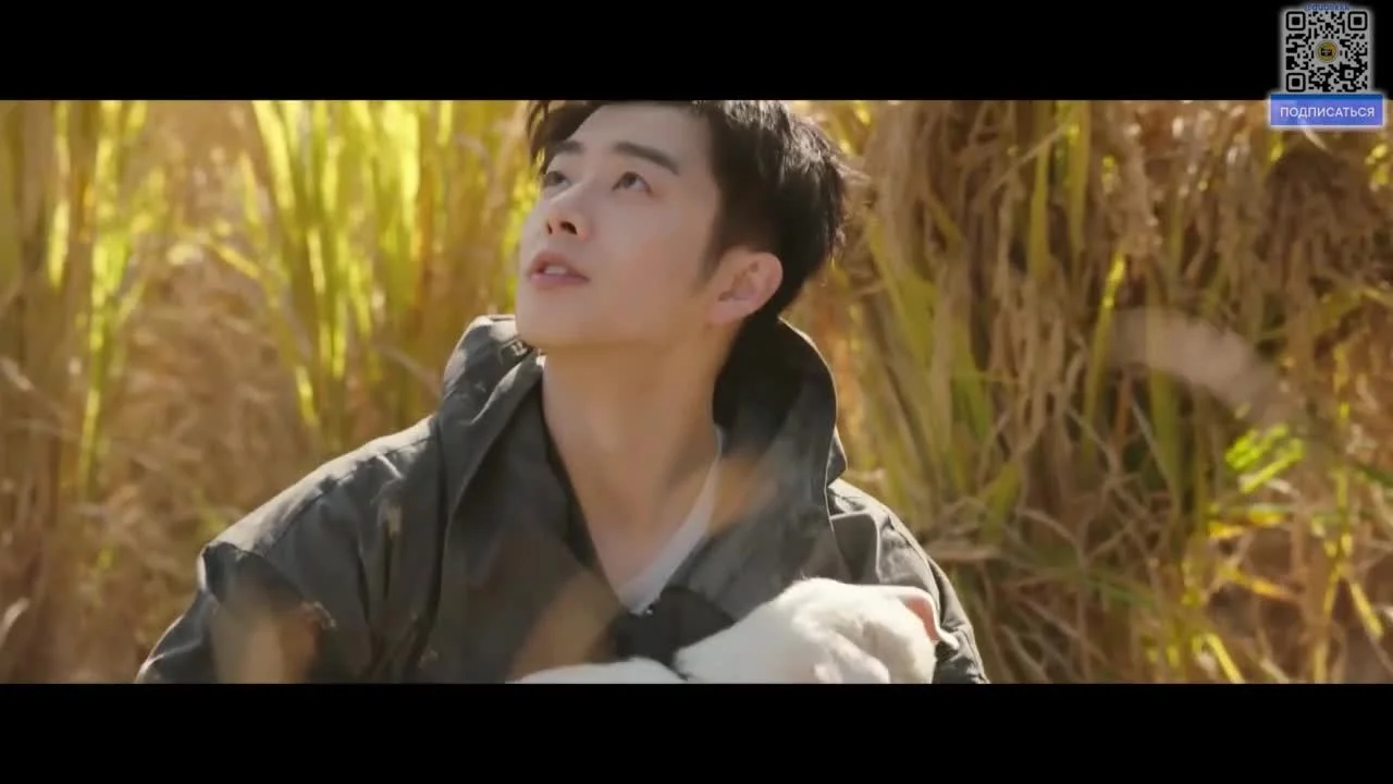 Любовь в чайном саду