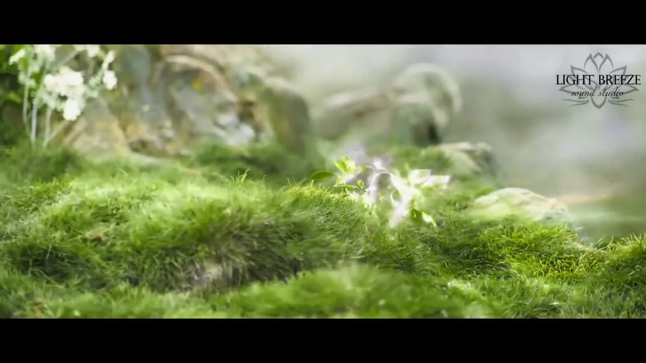 Божественный целитель