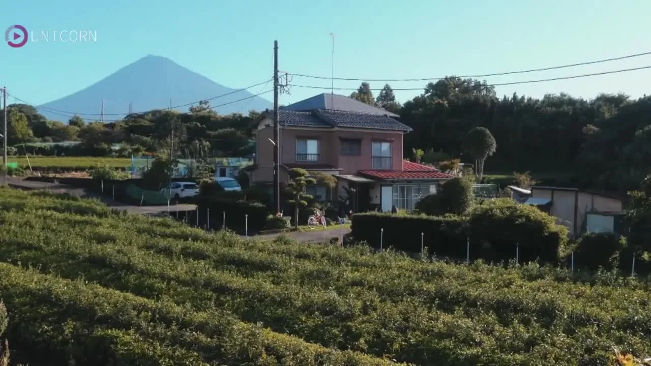 Моя вторая молодость