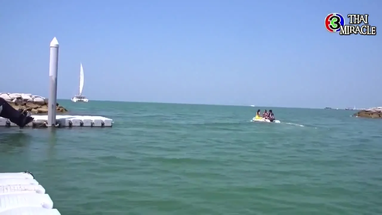 Сердце на двоих