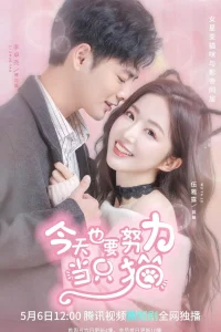  Моя любимая кошечка 