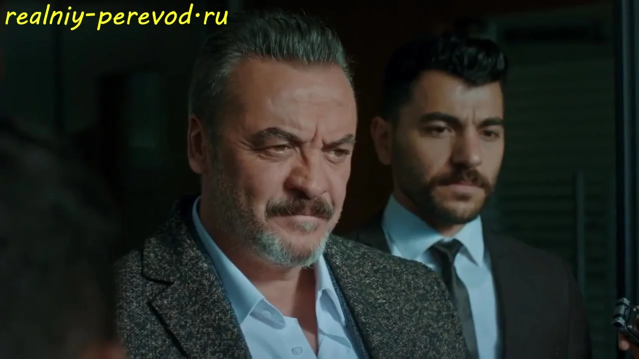 Звезды — мои свидетели