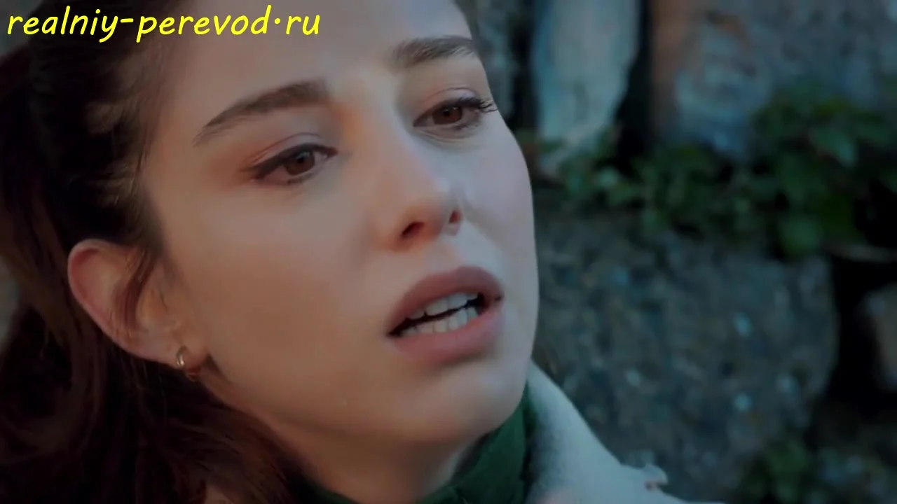 Звезды — мои свидетели