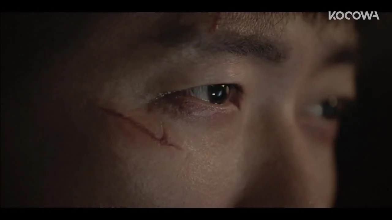 Чёрное солнце