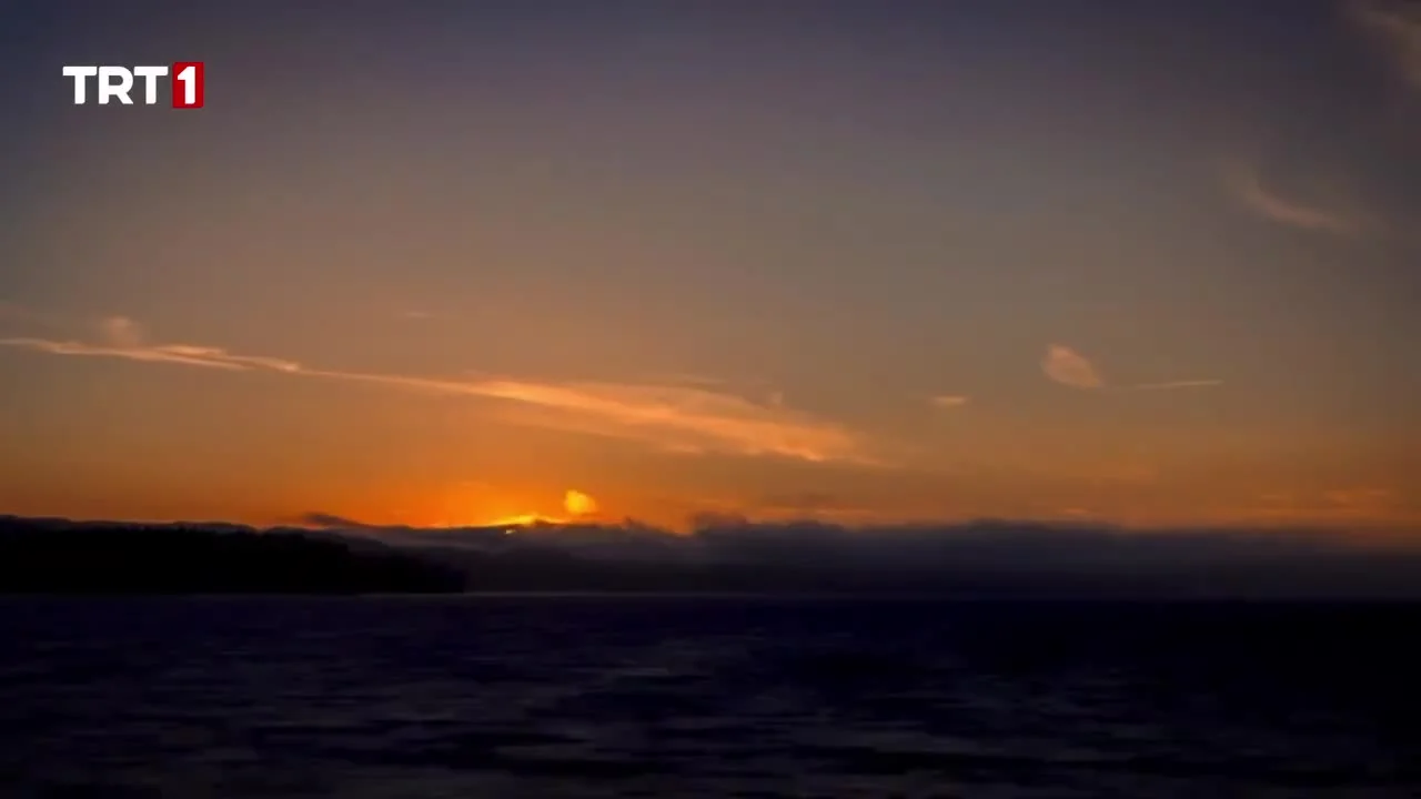 Хайреддин Барбароса: Указ султана