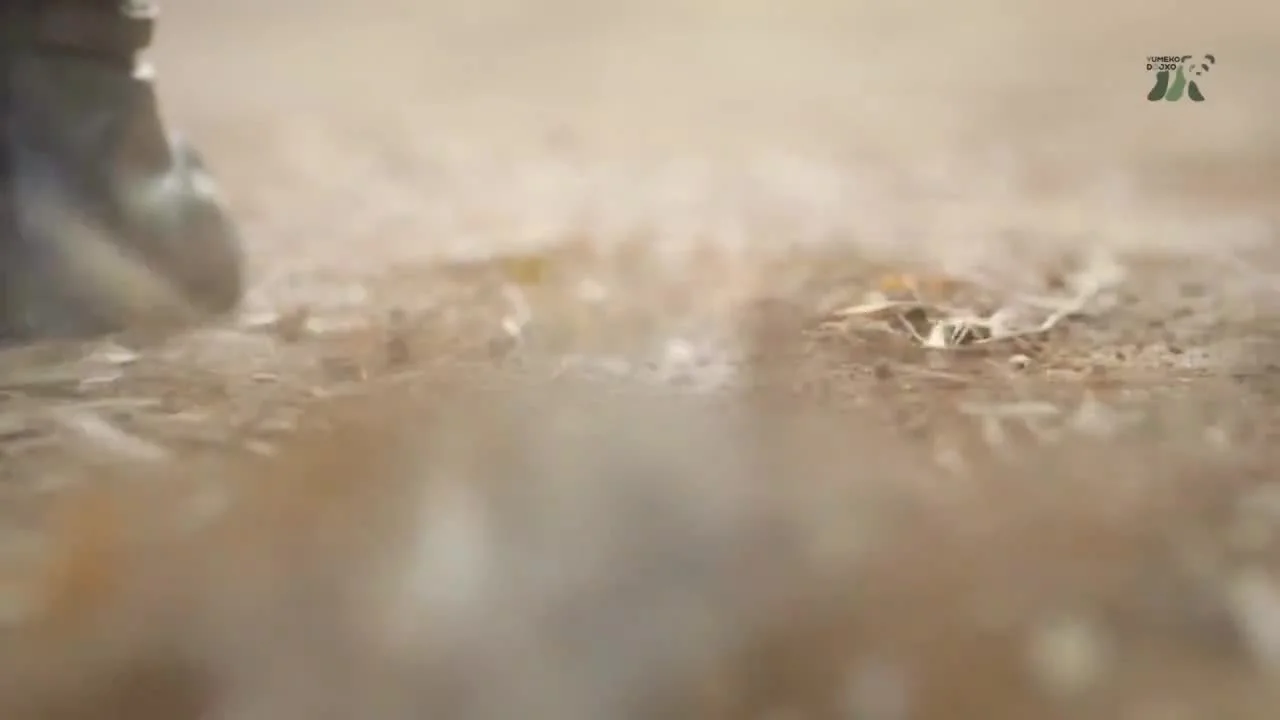 Привет, народ!