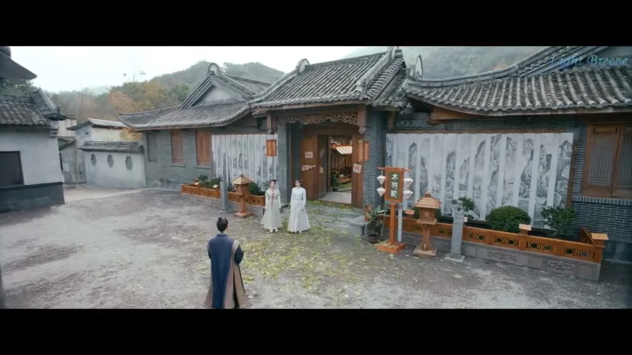 Цветы распускаются