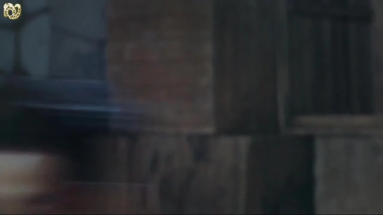 Сон эпифиллума