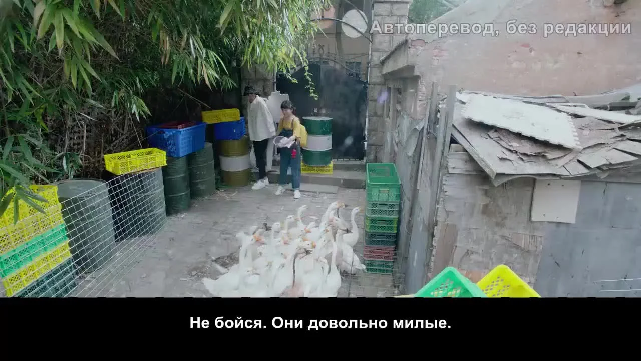 Мой сосед по парте
