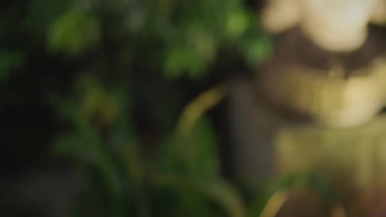 Один и еще один