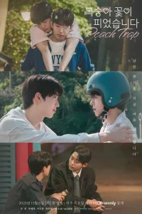  Персиковая ловушка 