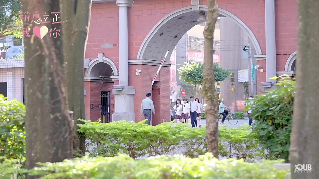 Внимание, любовь!