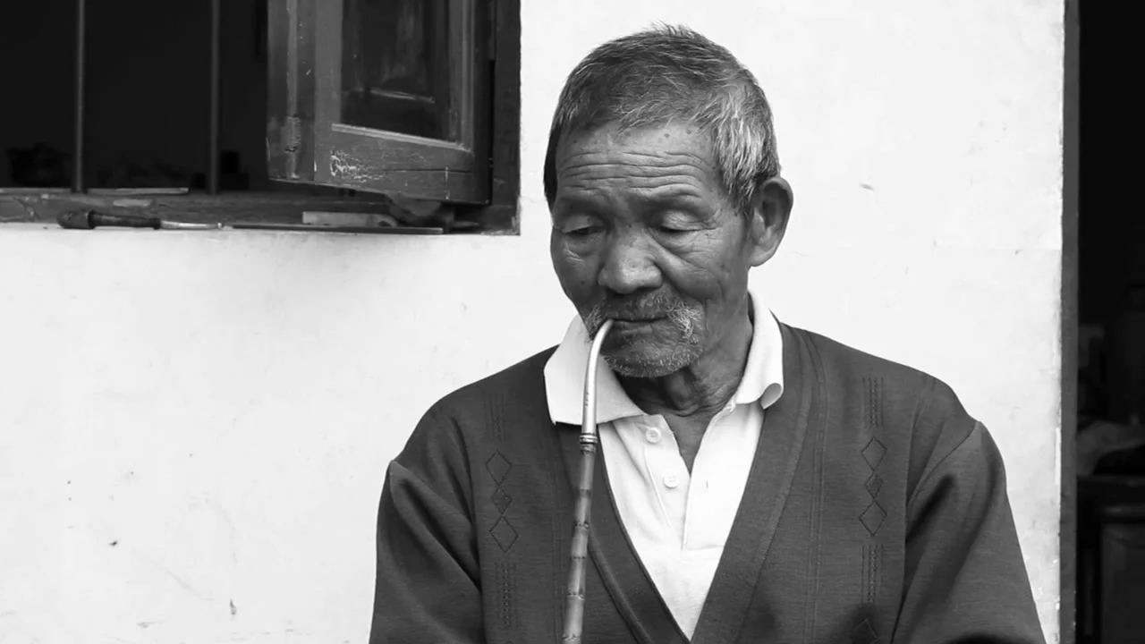 Поэт и певец