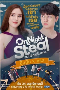  Украсть на одну ночь 