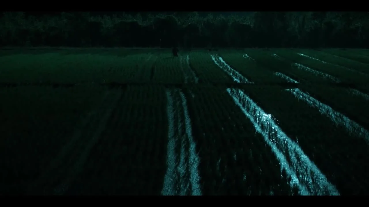 Любовь на бирюзовой земле