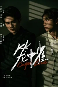  Птица в клетке 