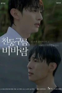  Грозовые тучи, проливные дожди 