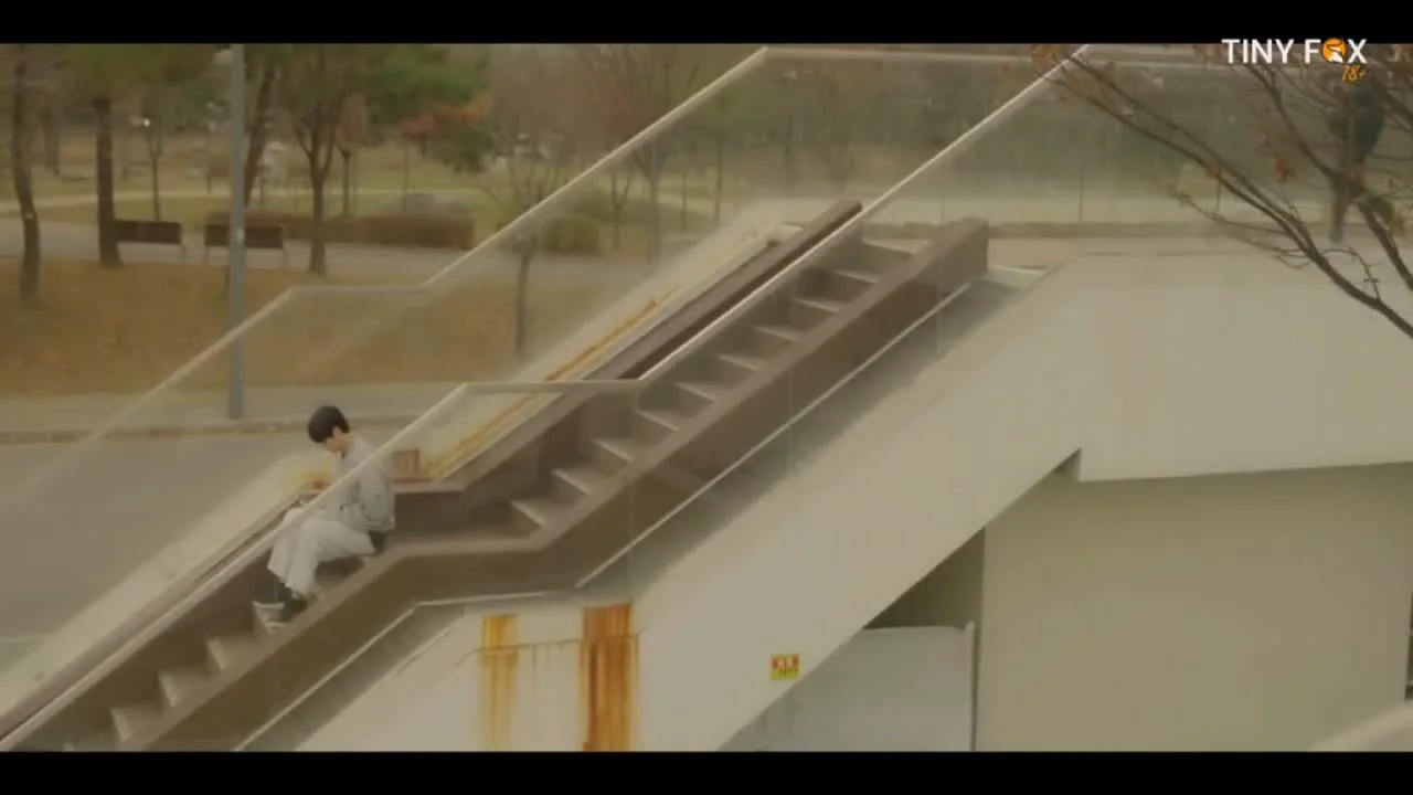 Двое парней